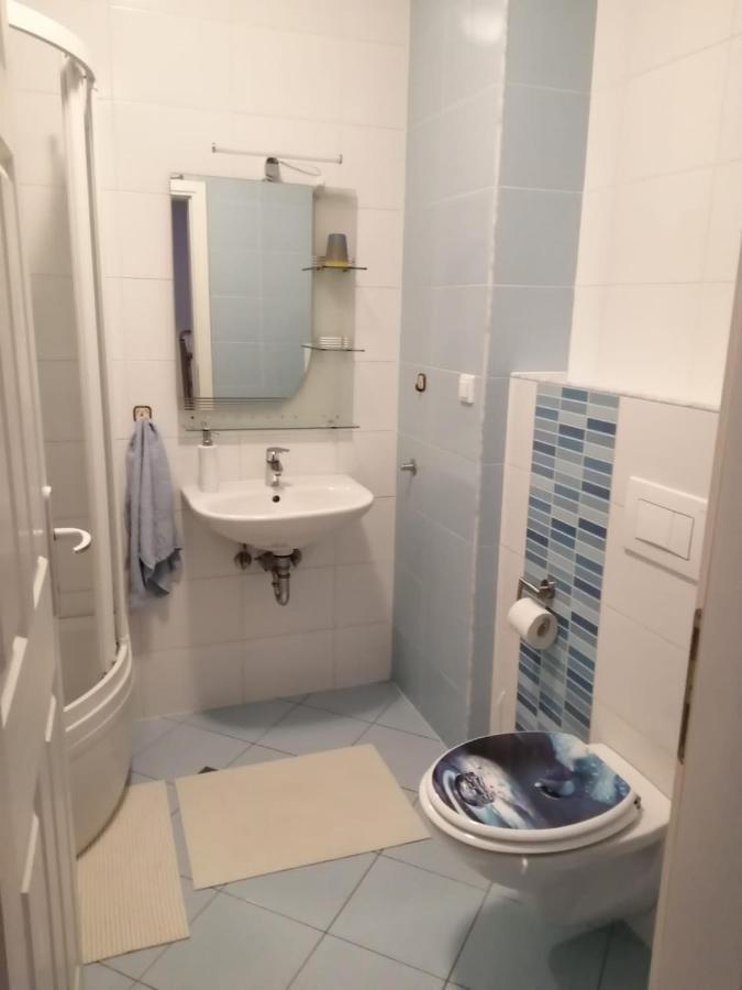 Dora Apartment Krapinske Toplice Ngoại thất bức ảnh